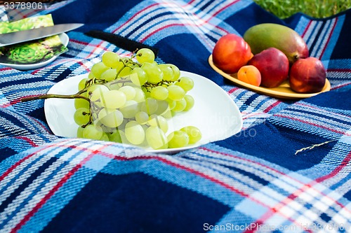 Image of Picnic blanket 