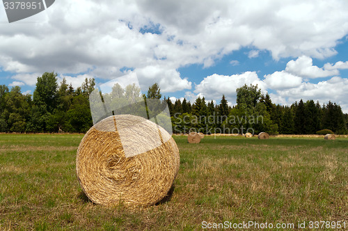 Image of Hay bales