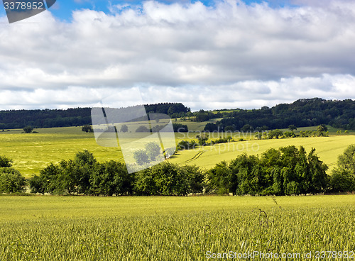 Image of Summer landscape with green fields