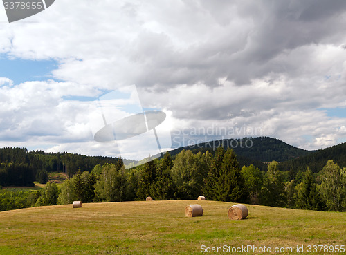 Image of Summer landscape