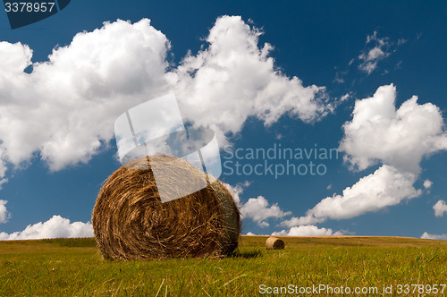 Image of Bale of hay
