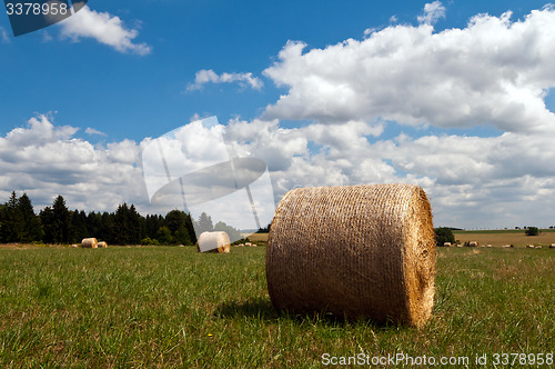 Image of Hay bales