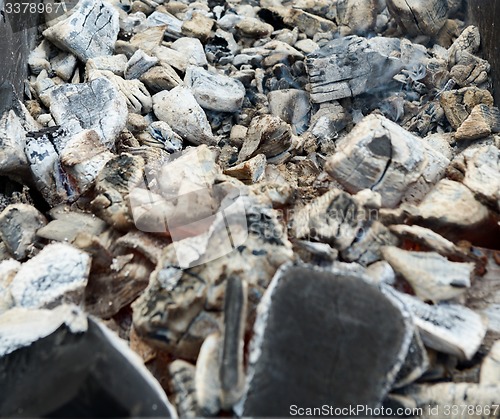 Image of cooking meat on the coals