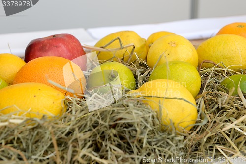 Image of apples oranges and lemons on the market 