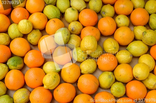 Image of lemons and oranges in a wooden box