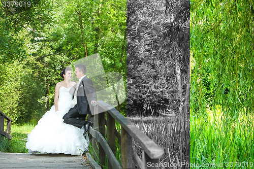 Image of Bride and groom posing abstract