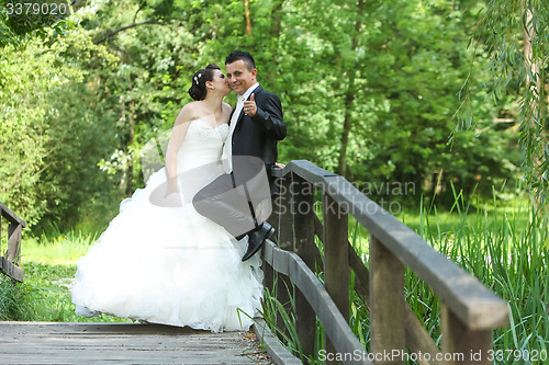 Image of Bride and groom on wooden bridge in nature