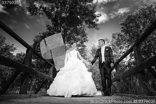 Image of Bride and groom holding hands bw