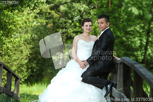 Image of Newlyweds on wooden bridge in nature