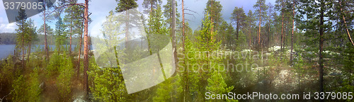 Image of Norway forest