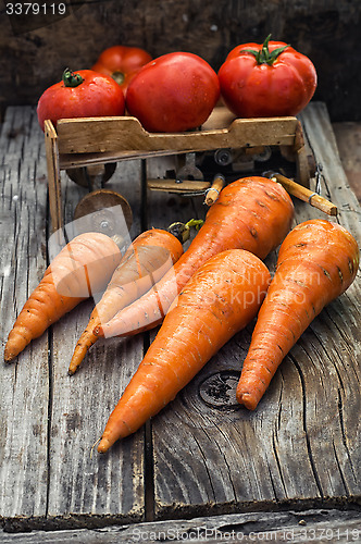 Image of autumn harvest vegetables