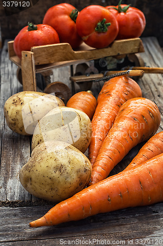 Image of autumn harvest vegetables