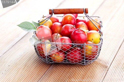 Image of basket of plums