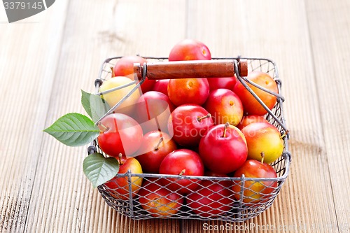 Image of basket of plums