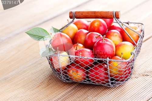 Image of basket of plums