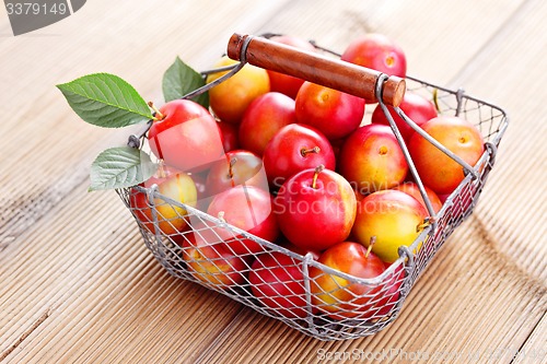 Image of basket of plums