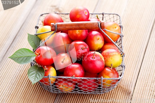 Image of basket of plums