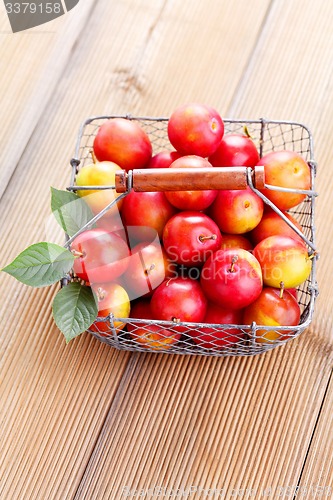 Image of basket of plums