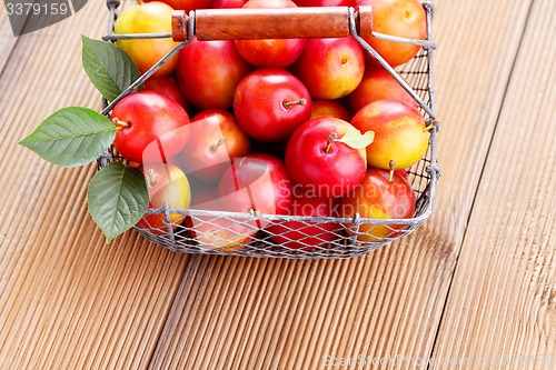 Image of basket of plums