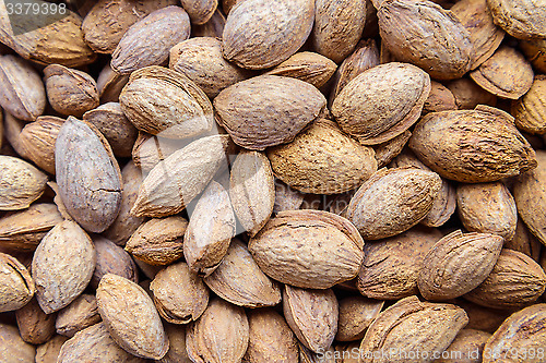 Image of Almond