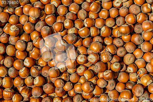 Image of Hazel nuts