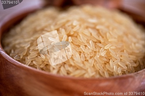 Image of golden rice