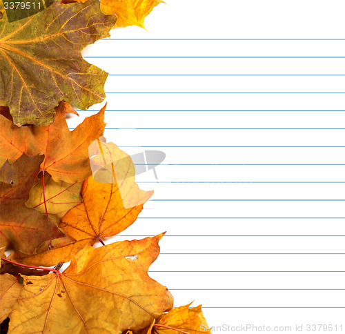 Image of Autumn maple-leafs and notebook paper