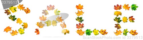 Image of Word SALE composed of autumn maple leafs