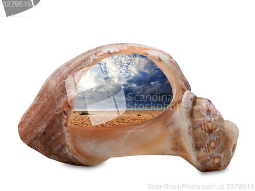 Image of Sea beach in sun day through broken rapana shell