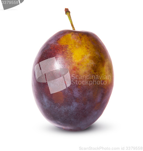 Image of Single violet plum