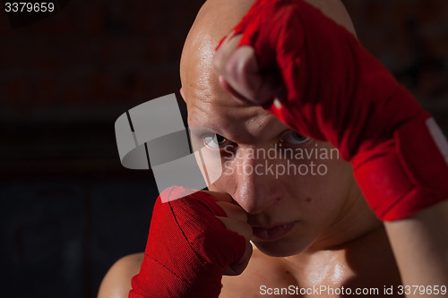 Image of portrait of a boxer