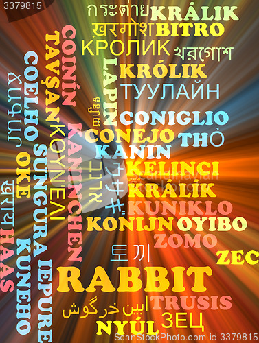 Image of Rabbit multilanguage wordcloud background concept glowing