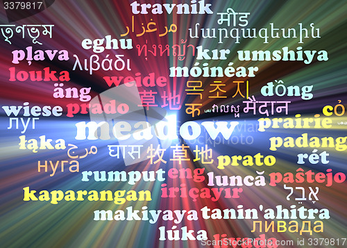 Image of Meadow multilanguage wordcloud background concept glowing