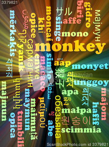 Image of Monkey multilanguage wordcloud background concept glowing