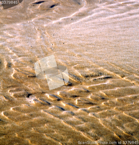 Image of dune morocco in africa brown coastline wet sand beach near atlan