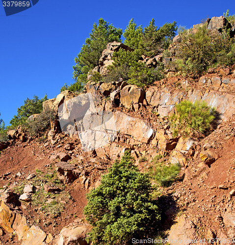 Image of the    dades valley in atlas moroco africa ground tree  and nobo