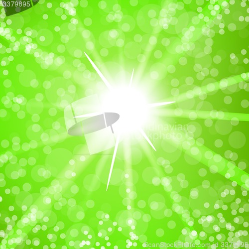 Image of Summer  Sun Light