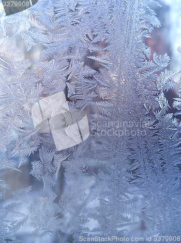 Image of Ice pattern on winter glass