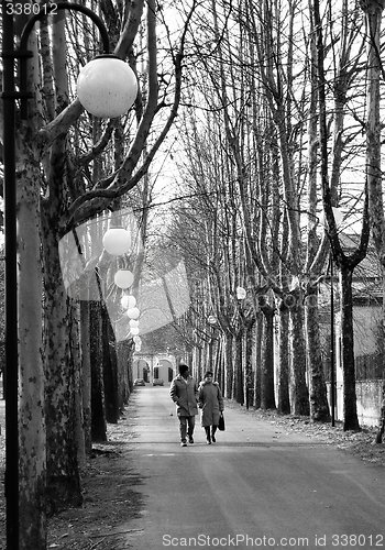 Image of tree-lined avenue