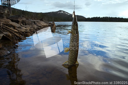 Image of pike fishing fast North mountain rivers