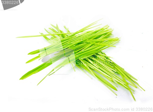Image of figure green grass isolated