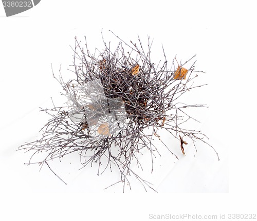Image of  tangle of branches on a white background