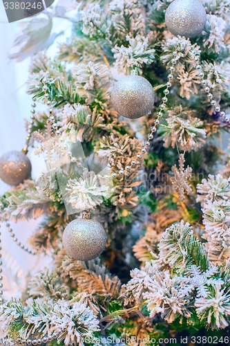 Image of Christmas tree closeup