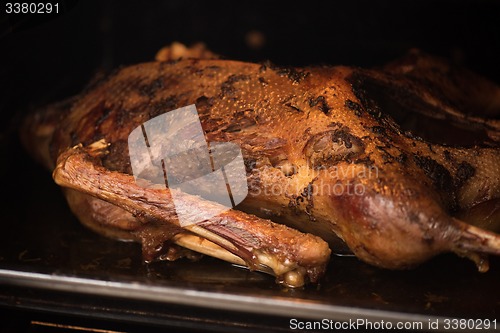 Image of roasted goose 