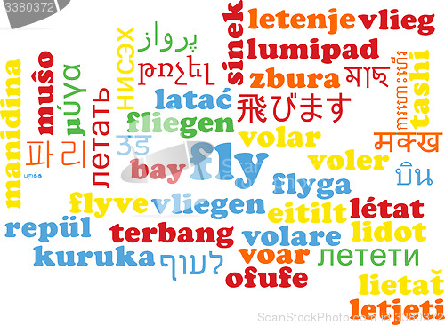 Image of Fly multilanguage wordcloud background concept