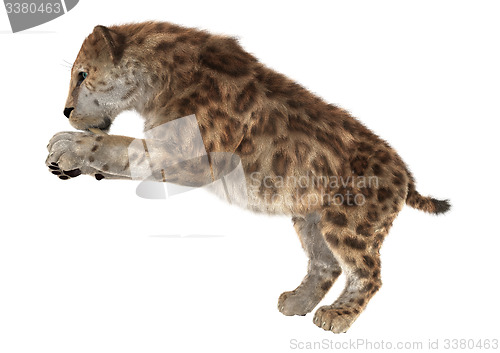 Image of Big Cat Smilodon