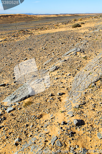 Image of  old fossil in  the desert of  