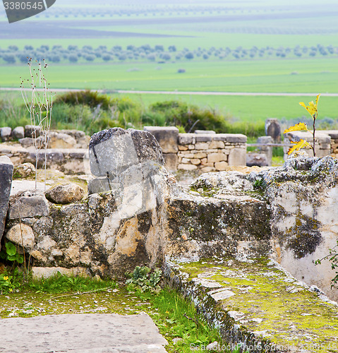 Image of volubilis in morocco africa the old roman deteriorated monument 