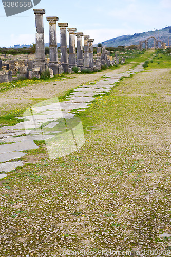 Image of volubilis in africa the old  monument and site