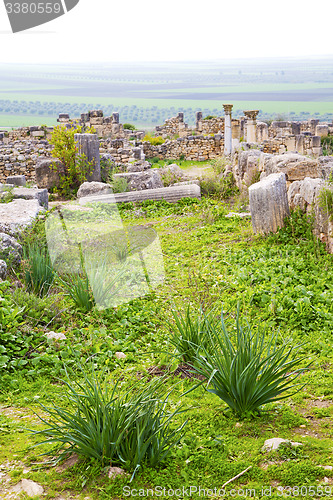 Image of volubilis in morocco africa the old roman deteriorated monument 